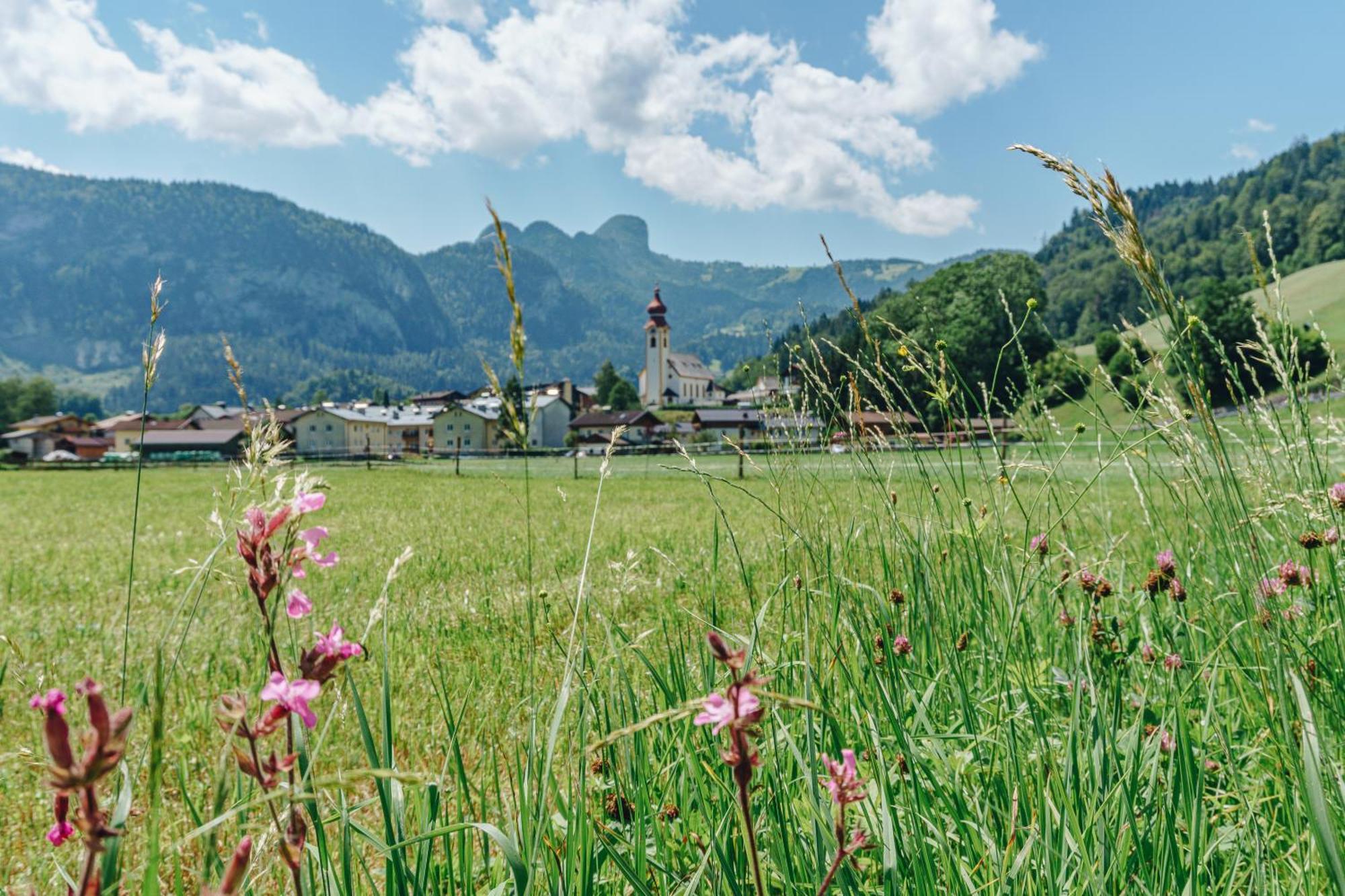 Gasthof Dorfcafe Hotelpension Swirtshaus Im Dorf